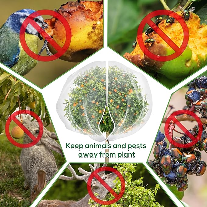 5.9 x 5.9 ft Fruit Tree Netting Cover with Zipper and Drawstring,Garden Insect Netting Plant Cover Transparent Bird Plant Barrier Flower Fruit Mesh Screen for Preventing Deer Squirrel Bug