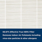 AprilAire RF09550A Allergy True HEPA Air Purifier Replacement Filter for AprilAire Room Air Purifier Model 9550, Captures Allergens & Odors, Ozone