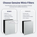Genuine Winix 115115 Replacement Filter A for C535, 5300-2, P300, 5300, White/Black