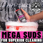 Chemical Guys HOL123 Car Cleaning Kit for Interior & Exterior, 14 Items Including (7) 16 oz Chemicals