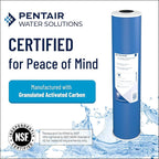 Pentair Pentek GAC-20 Carbon Water Filter, 20-Inch, Whole House Granular Activated Carbon (GAC) Replacement Cartridge, 20" x 2.5", White