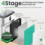 2 Pack Air Purifier Replacement Filter HY4866 Compatible with MORENTO, WESTHEY HY4866, YIOU M1 - True HEPA Filter, 4 Stage Filtration, Original Carbon & Silver Technology - Green