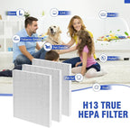 3 Pack D480 Replacement Filter Compatible with Winix D480 Air Cleaner Purifier, True HEPA D4 Filter, Part Number 1712-0100-00, F ilter D4
