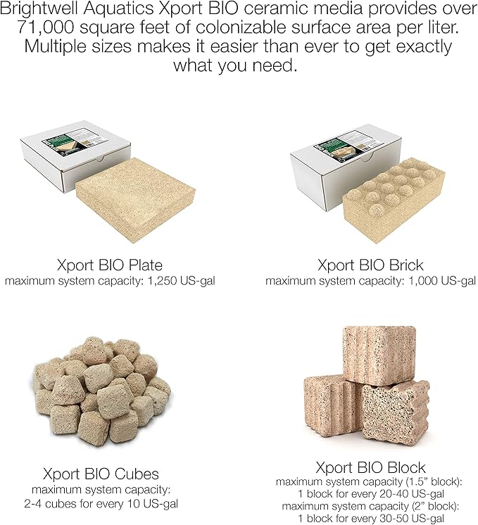 Brightwell Aquatics Xport-BIO Block - Biological Filtration Mediafor Bacteria Growth and Phosphate Reduction, 6 pack, 2"