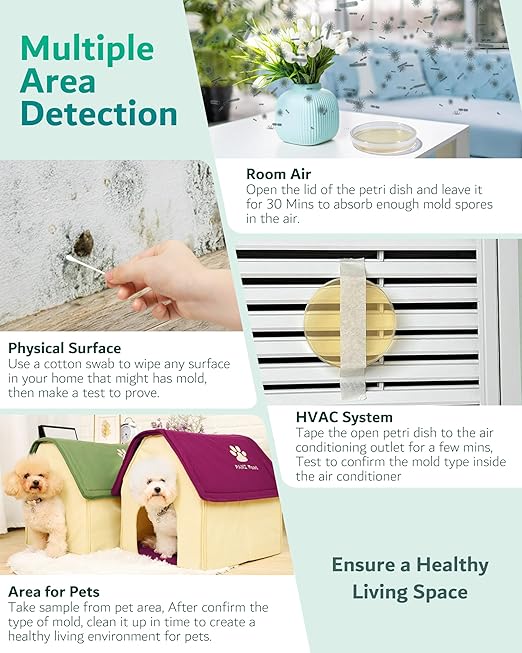 Mold Test Kit for Home - 12 Simple Detection Tests for HVAC, Surfaces & Indoor Air Quality, DIY Black Mold Detector Testing kit at Home, with Detailed Identification Guide & Free Lab Analysis