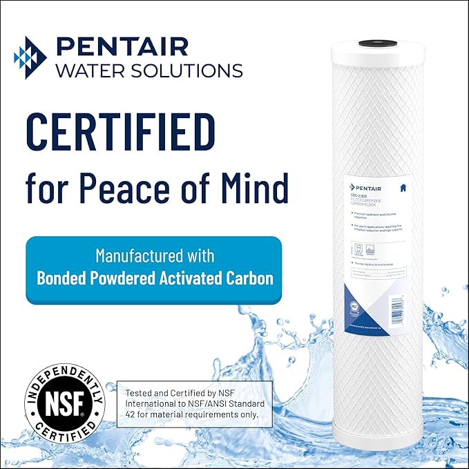 Pentair Pentek CBC-20BB Big Blue Carbon Water Filter, 20-Inch, Whole House Carbon Block Replacement Cartridge with Bonded Powdered Activated Carbon (PAC) Filter, 20" x 4.5", 0.5 Micron