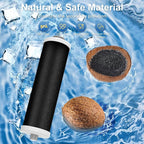ICE2 F2WC9I1 F2WC911 Filter (2 Pack)