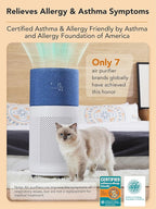 CleanForce Air Purifiers for Home Large Room Up to 2550 ft², H13 HEPA Air Cleaner Works with Alexa for Dust, Allergens, Pollen, Pet Hair Dander, Odors, CERTIFIED asthma & allergy friendly, Rainbow