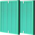 MSA3/MSA3S Pet Odor Replacement Filter Compatible with Membrane Solutions MSA3 and MSA3S Device, 4-Stage HEPA, 2 Pack