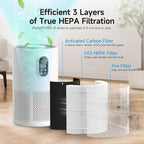 AP02 Replacement Filter Compatible with WESTHEY AP02 Air Purifier, 3-in-1 H13 True HEPA Filter with Activated Carbon, 2 Pack