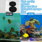 24 Pcs Aquarium Filter Media Kit Compatible with Fluval Fx4/Fx5/Fx6 Filters, 4 Bio-Sponge Pads, 6 Bio-Sponge Block, 6 Activated Carbon, 4 Carbon Foam Pad, 2 Silicone Lube, 2 Ceramic Rings