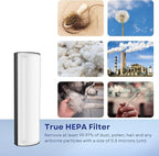 Nispira TPP440 TPP440F Filter Replacement for Envion Therapure TPP540 TPP640 TPP640S AP200 Air Purifier True HEPA with Activated Carbon, 3 Pack