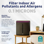 Rabbit Air, A3 SPA-1000N Air Purifiers for Home, Ultra Quiet HEPA Air Purifier - Wall Mountable Air Purifiers for Home Large Room, Allergies, Dust, Mold, Smoke & VOCs - (Black, Germ Defense Filter)