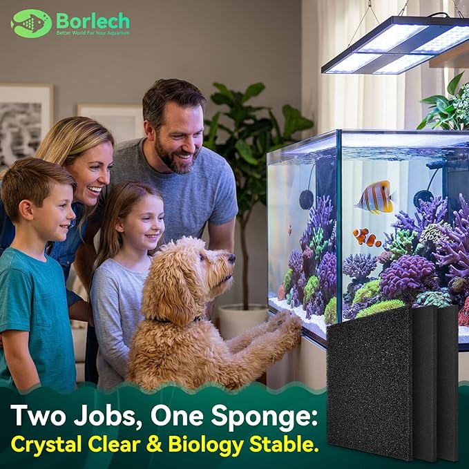 Borlech Aquarium Bio Filter Sponge Pad - Cut-to-Size Aquarium Filter Media for Fish Tank, Pond, Sump - Mechanical & Biological Filtration (18.5"x18.5"x0.8", 50PPI, 2 Pack)