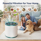 TP01 HEPA Filter Replacement Compatible Only with Dyson Tower Purifier Pure Cool Link TP01, TP02, TP03, AM11, BP01 Models, Replace Part 968126-03 – NOT for HP or DP Series (2 Pack)