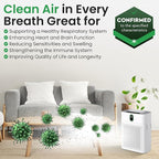 4 Pack Air Purifier Replacement Filter HY4866 Compatible with MORENTO, WESTHEY HY4866, YIOU M1 - True HEPA Filter, 4 Stage Filtration, Original Carbon & Silver Technology - Green