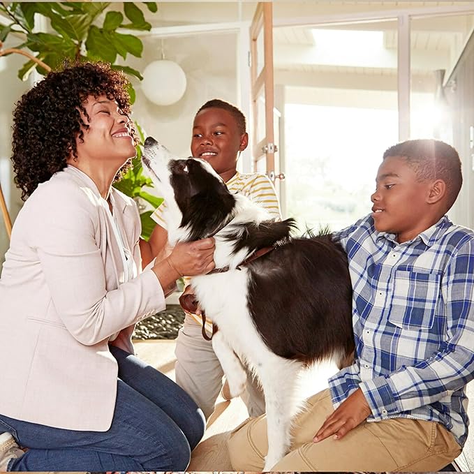 Filtrete 21.5x24x1 AC Furnace Air Filter, MERV 8, MPR 700, Tough on Pollen, Easy on Airflow, 3-Month Pleated 1-Inch Electrostatic Air Cleaning Filter, 4-Pack (Actual Size 21.19 x 23.69 x 0.81 in)