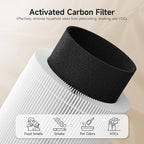 AP02 Replacement Filter Compatible with WESTHEY AP02 Air Purifier, 3-in-1 H13 True HEPA Filter with Activated Carbon, 4 Pack