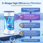 ICEPURE 50 Micron 10" x 4.5" Whole House Extra Coarse Pleated Sediment Filter for Well Water, Replacement Cartridge for GE FXHSC, Culligan R50-BBSA, DuPont WFHDC3001, W50PEHD, R50-BB, 2Pack