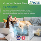 20x20x1 Air Filters | AirPurete AP-3M20201 HVAC AC Furnace Air Filters | Actual Size: 19.50" x 19.50" x 0.75" | MERV 8, MPR 600 (Pack of 12)