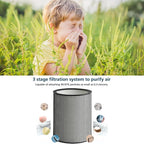972132-01 H13 Grade Glass Big HEPA Filter Compatible for Dyson Purifier BP03 and BP04 (Big), Airborne Wildfire, Smoke, Pollen, Pet Dander, and Dust