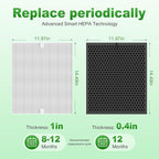 5510 5520 Replacement Filter Q for WINIX 5510 5520 PlasmaWave Air Purifier, H13 True HEPA and Activated Carbon Filter Combo Pack, Part # 1712-0123-00, 1 Set