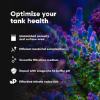 Brightwell Aquatics - Xport-BIO Block Aquarium Filter - Biological Filtration Media for Bacteria Growth, Nutrient Control & Control of Unwanted Nutrients - Aquarium Water Treatments, 8 Pack, 1.5 inch