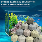 Fish Tank Bio Media - 1000g, 2.2lb Bio Balls for Aquarium Filter & Pond | Biological Filter Media for Freshwater | Nitrogen Removing Bio Spheres | Aquarium Ceramic Media,with Filter Media Bag