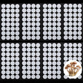 Zonon 256 Pieces Synthetic Filter Paper Stickers 20 mm 0.3 ?m Synthetic Filter Disc Tape Mushroom Applied Under Wide Mouth Mason Jar for Mushroom Cultivation