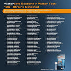 Watersafe® Bacteria Water Test Kit – USA-Made – Results as Fast as 6 Hours – Detects Coliform (Inc. E. coli) & Non-Coliform Bacteria in Drinking, Well & Tap Water – Lab-Quality Testing – 4 Pack