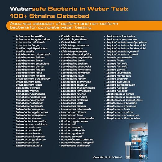 Watersafe® Bacteria Water Test Kit – USA-Made – Results as Fast as 6 Hours – Detects Coliform (Inc. E. coli) & Non-Coliform Bacteria in Drinking, Well & Tap Water – Lab-Quality Testing – 4 Pack