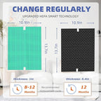 5510 5520 HEPA Toxin Absorbe Air Purifier Filter Q Replacement for Winix 5510 5520 Plasmawave Air Purifier H13 True HEPA Carbon Filter,# 1712-0123-00,1 Combon Set