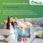AirPurete 20x25x1 HVAC Furnace Air Filters | Actual Size: 19-1/2" x 24-1/2" x 3/4" | MERV 8 | PACK OF 6 FILTERS