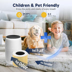 Core Mini Pet Care Replacement Filter for LEVOIT Core Mini and Core Mini-P Air Purifier, 3-in-1 H13 True HEPA High-Efficiency Activated Carbon, Core Mini-RF-PA, 6 Filter & 10 Fragrance Sponge, Yellow
