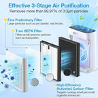 2 Pack HAP603 Replacement Filter Compatible with ECOSELF HAP603 / HAP603WF Air Purifier, Air Purifiers Replacement Filter for Home Large Room, # RFHAP603, White