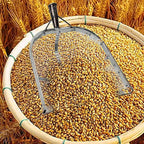 Leaking Soil Shovel Filter Stainless Steel Sieve 4mm/6mm/8mm/12mm Mesh Sifting Shovel for Sifting Corn Kernels Gardening Farm Chicken Coop and Goat Stall Multipurpose Dustpan (Sliver-12MM)