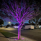 10 Pack Gel Light Filter- Colored Overlays Correction Lighting Filters,Transparent Color Film Plastic Sheets for Halloween Landscape Led Light or Reading (Purple)
