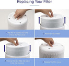 LEVOIT Core 300-P Replacement Filter for Air Purifier Smoke Remover, Genuine Core300S-P Filters, Supports HEPA Sleep Mode, High-Efficiency Activated Carbon, Core 300-RF-SR, 1 Pack, Blue