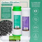 Reverse Osmosis Alkaline pH+ Water Filter Set | 6 Replacement Water Filters with 100 GDP Membrane | 6 Month Supply | Under Sink RO Water Filter | PP, GAC, CTO, ROM, PC, ALK | Universal 10 Inch Size
