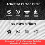 HPA300 HEPA Filter Replacement for Honeywell Air Purifier 6 HEPA R Filters and 8 Pre-cut A Carbon Pre-filter by APPLIANCEMATES
