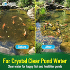 Aquatic Experts Green COARSE Pond Filter Pad - 2 inch Thick - Bulk Roll Water Garden Filter Pond Media - Made in USA, (16" x 56")