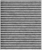 Spearhead Odor Defense Breathe Easy AC & Heater Cabin Filter | Fits Altima, Kicks/Kicks Play, Pathfinder, Rogue, Versa, QX50, QX55, QX60 | Up to 25% Longer Lasting w/Activated Carbon (BE-552)