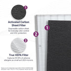 Genuine Winix Filter S +AllergenGuard for C545