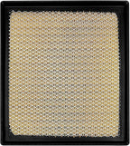 Engine Air Filter JMP100 Fits for 2014-2022 Sequoia, 2016-2023 Tacoma 3.5L, 2014-2021 Tundra, Replacement for 17801-0P100, 17801-0S020, CA11895