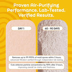 Barnakl Pet Fresh Ceiling Fan Filters for Blades, Zeolite Air Filters, Ceiling Fan Air Purifier Pads, Odorless Pet Odor Eliminator for Home, Fan Filters for Dust, Dander & Odors – 3 Pack